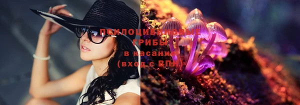 трава Алексеевка