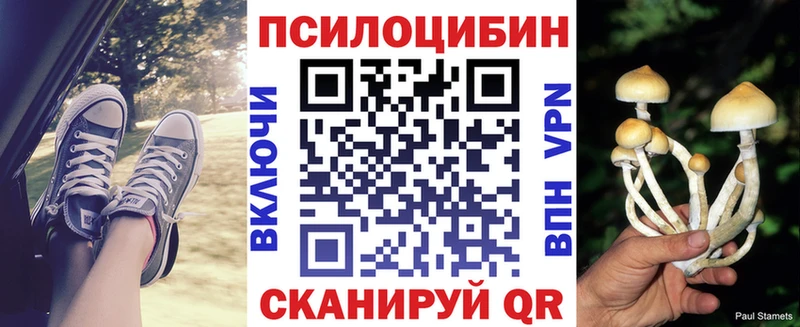 Галлюциногенные грибы Cubensis  Беслан 
